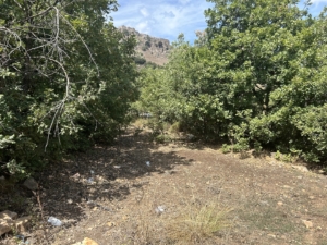 Casalino con terreno sulle alte madonie