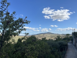 Casa con terreno sulle madonie